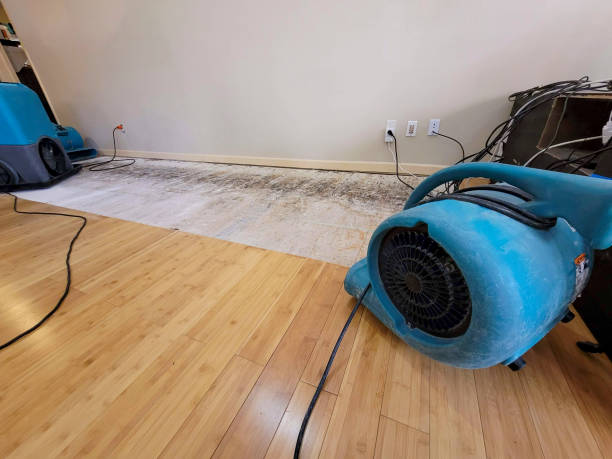 Professional Burst Pipe Water Damage technician working in Ontario, OH